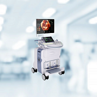 Ультразвуковая система Voluson E10